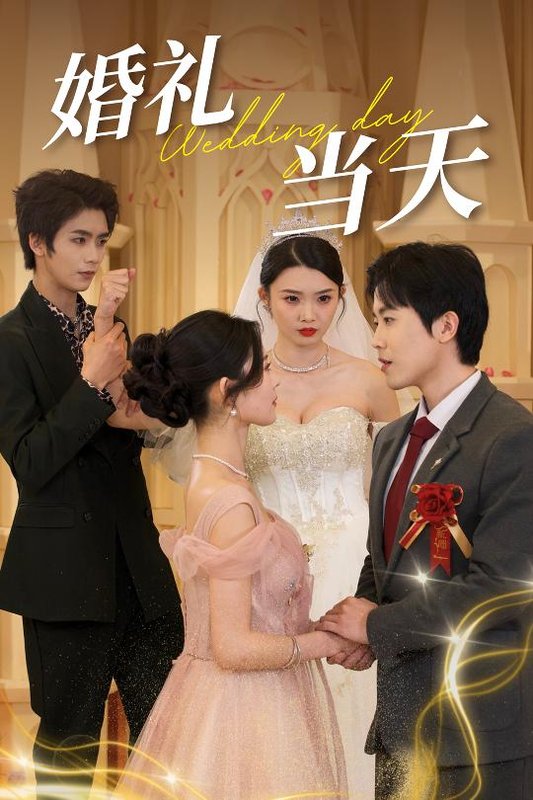 短剧《婚礼当天（30集）》全集免费在线观看