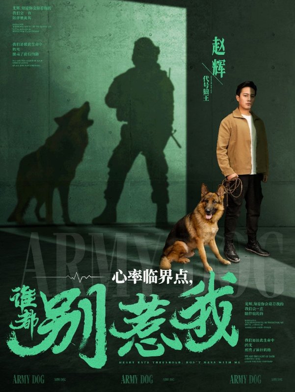 短剧《心率临界点谁都别惹我（96集）晁轩＆杨晴&王佳琪》全集免费在线观看