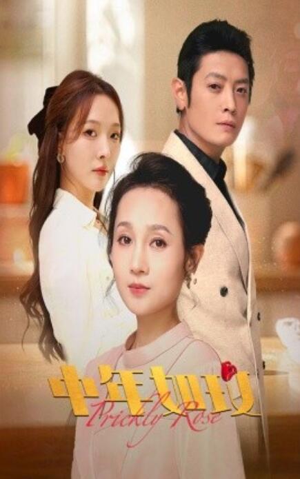 短剧《中年如玫（1-68集）》全集免费在线观看