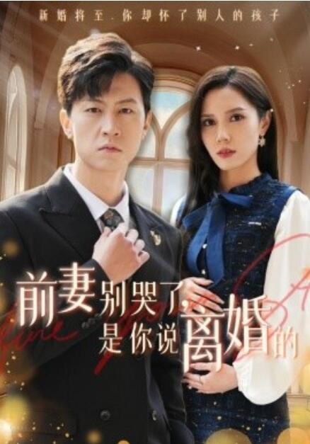 短剧《前妻别哭了,是你说离婚的(1-42集)》全集免费在线观看