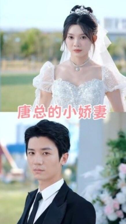 短剧《唐总的小娇妻(89集全)》免费在线观看
