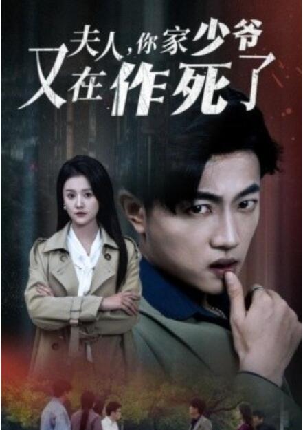 短剧《夫人,你家少爷又在作死了(1-30集)》全集免费在线观看