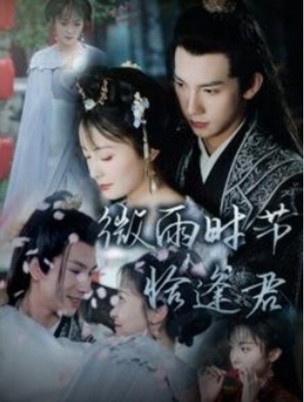 短剧《微雨时节恰逢君(1-82集)》全集免费在线观看