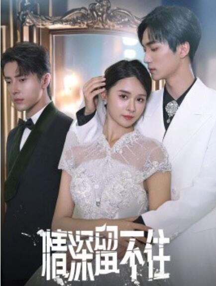 短剧《情深留不住(1-80集)》全集免费在线观看