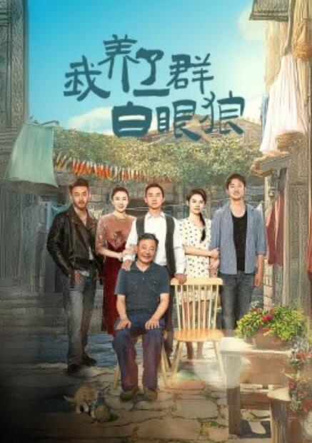 短剧《我养了一群白眼狼(家家有本难念的经)1-34集》全集免费在线观看