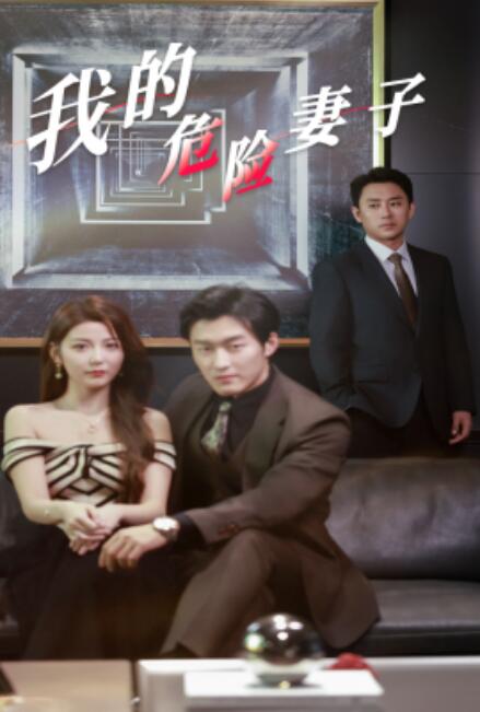 短剧《我的危险妻子(1-30集)》全集免费在线观看