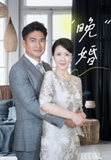 短剧《晚婚(1-65集)》全集免费在线观看