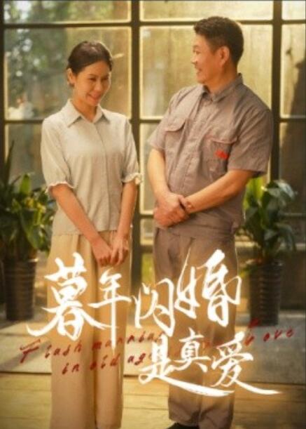 短剧《暮年闪婚是真爱(1-36集)》全集免费在线观看