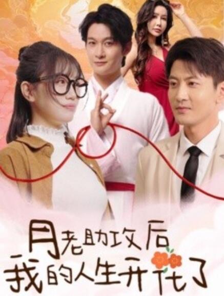 短剧《月老助攻后我的人生开花了(1-73集)》全集免费在线观看