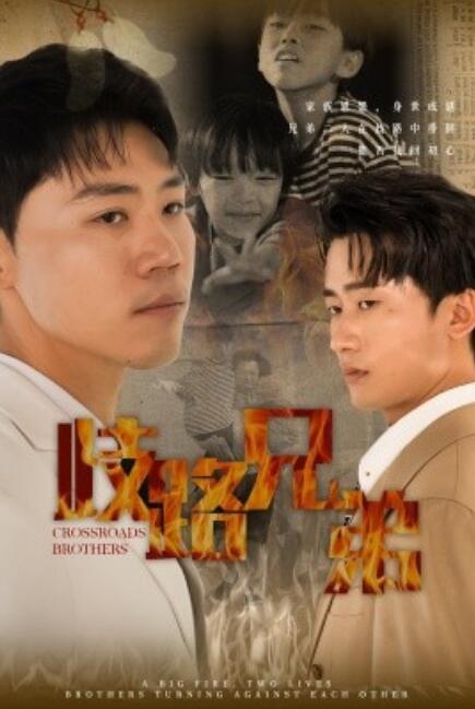短剧《歧路兄弟(1-63集)》全集免费在线观看