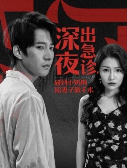 短剧《深夜出急诊,碰到小奶狗陪妻子做手术(1-50集)》全集免费观看