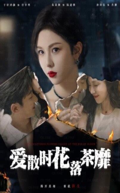短剧《爱散时花落茶靡(1-53集)》全集免费在线观看