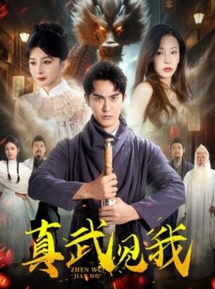 短剧《真武见我（1-60集）》全集免费在线观看