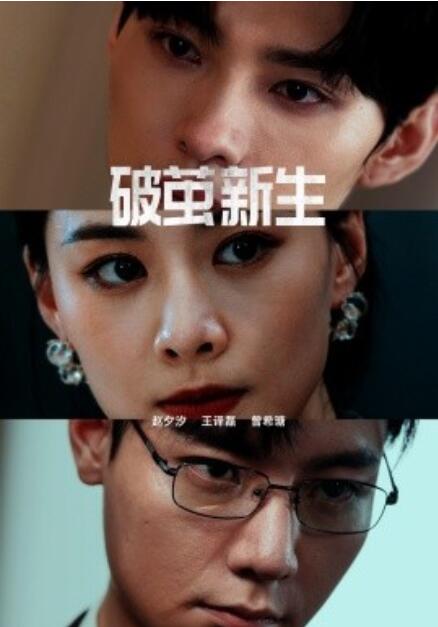 短剧《破茧新生(41集全)》免费在线观看
