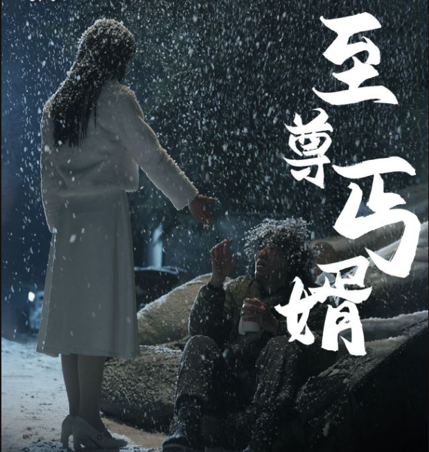 短剧《至尊丐婿》91全集资源免费观看