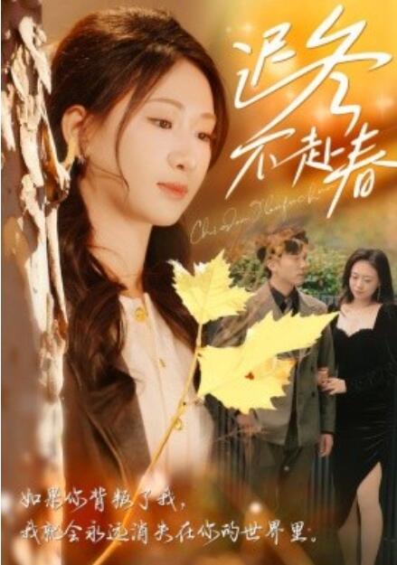 短剧《迟冬不赴春(1-56集)》全集免费在线观看