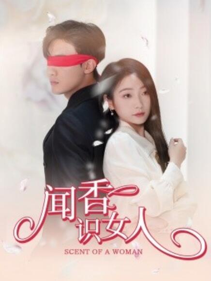 短剧《闻香识女人(58集全)》免费在线观看
