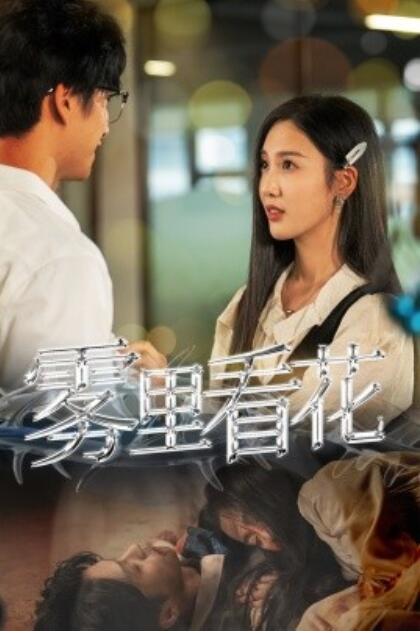 短剧《雾里看花(25集全)陈云廷&魏凡舒》免费在线观看